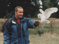 Falconry Display London | Team Activities London