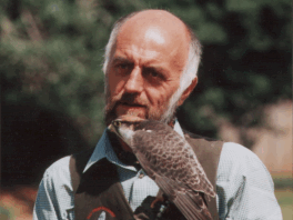 Birds of Prey, Falconry Day, Falconry Experience Day