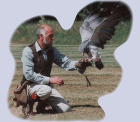 falconer
