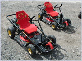 racing lawnmowers