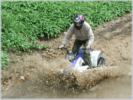 quad bike